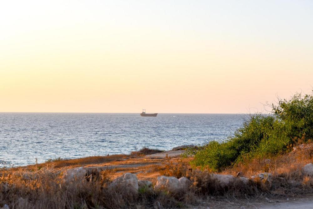 Beautiful Apartment Near The Sea And A Large Private Garden Pafos Zewnętrze zdjęcie