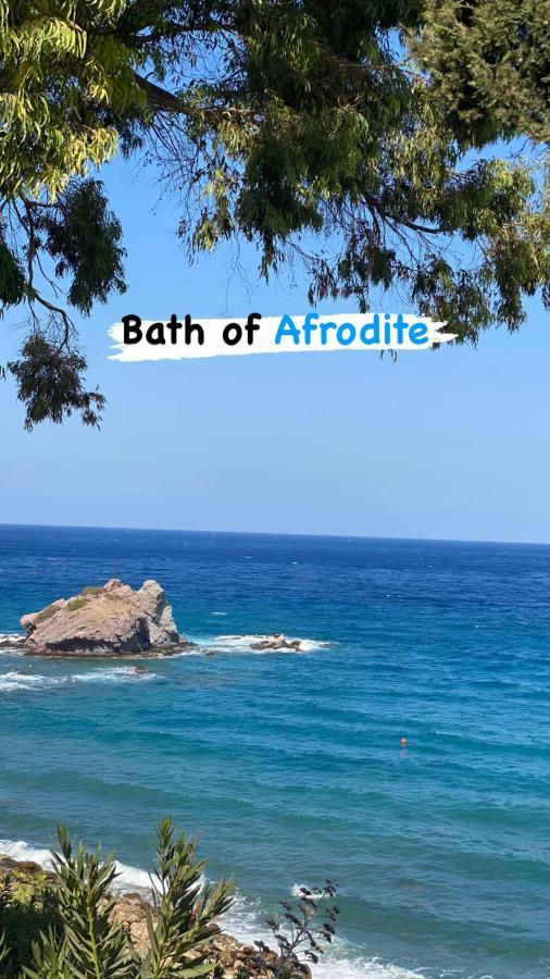 Beautiful Apartment Near The Sea And A Large Private Garden Pafos Zewnętrze zdjęcie
